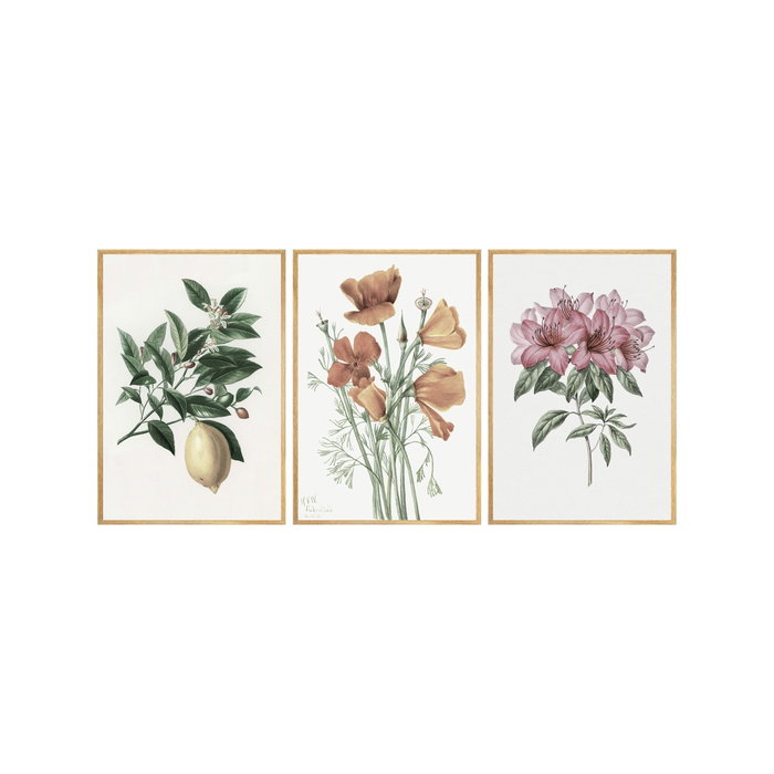 Wallity Huhu278 Cuadro Decorativo Enmarcado de 3 Piezas 50 x 35 cm